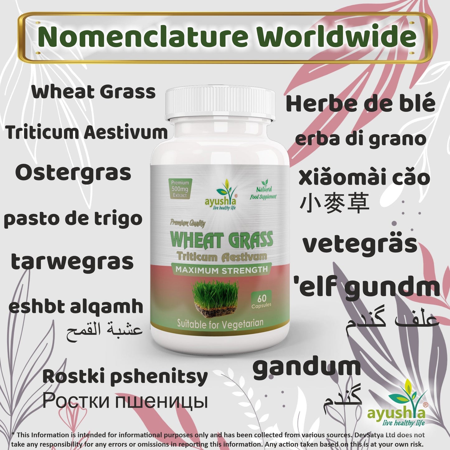 Ayushya Wheat Grass Capsules (Wheatgrass) Daily Greens & Antioxidant Support - Vegan, Gluten Free, Non-GMO, 60 Capsules