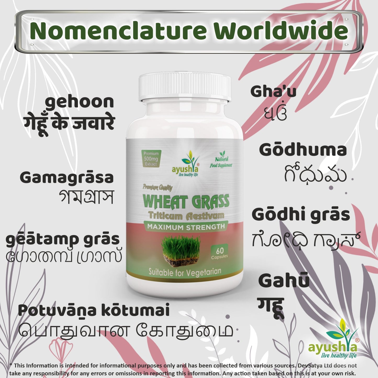 Ayushya Wheat Grass Capsules (Wheatgrass) Daily Greens & Antioxidant Support - Vegan, Gluten Free, Non-GMO, 60 Capsules