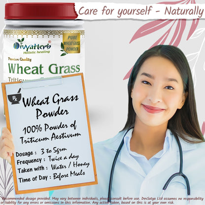 DivyaHerb Wheat Grass Powder 100 gram - Daily Vitality Support