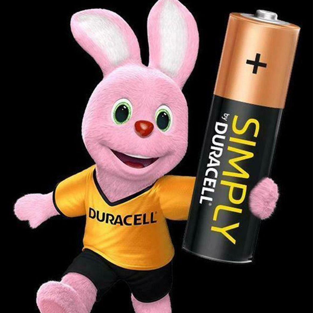 Duracell Simply AA Non Rechargeable Batteries, 12 Pack