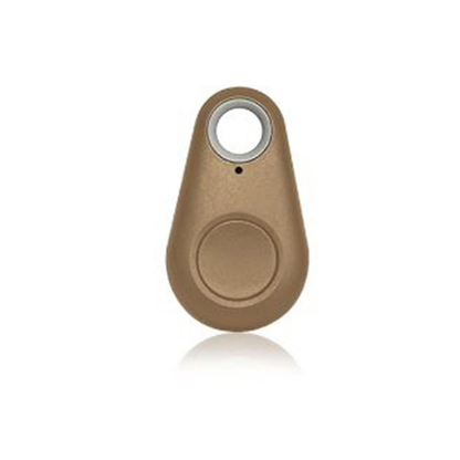 Aquarius Key Finder Anti-Lost Alarm with GPS Last Location Finder, Gold