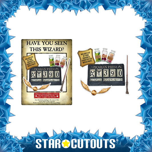 SC1419 Harry Potter Wanted Poster  Gold Selfie Frame Height 87cm