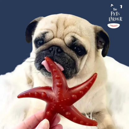 Apple & Mint Starfish