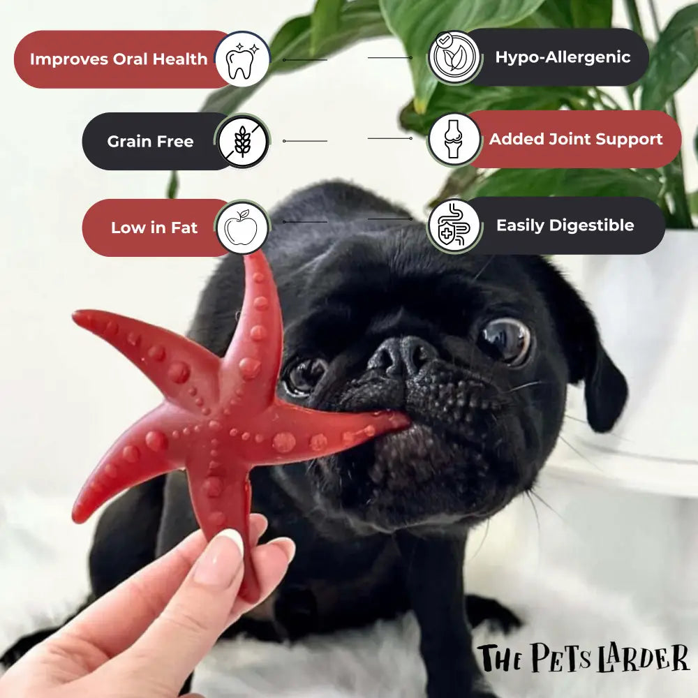 Apple & Mint Starfish