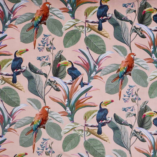 Parrot