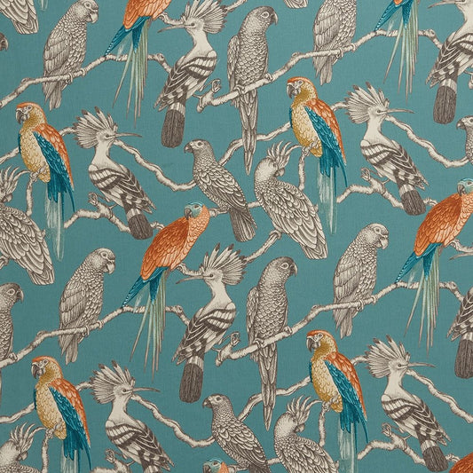 iLiv Aviary