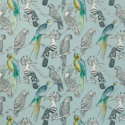 iLiv Aviary