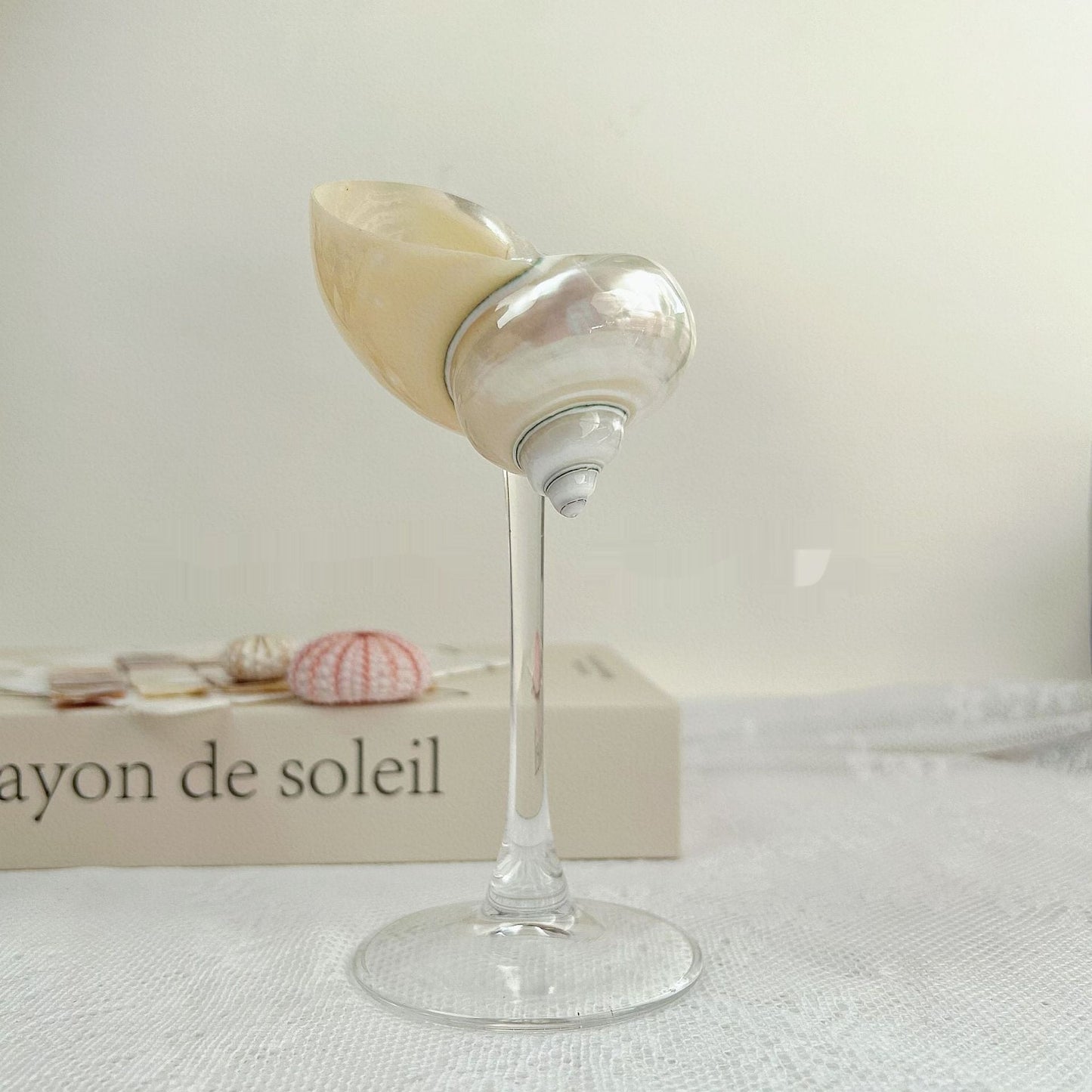 Ins Handmade Shell Conch Wine Glass Aromatherapy Dish