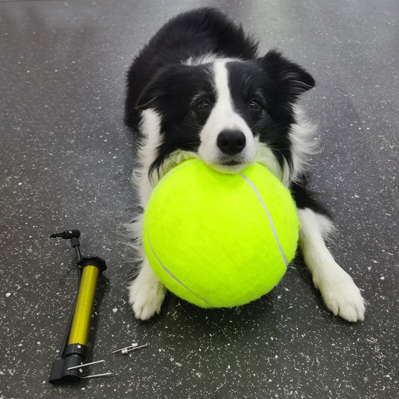 Tennis Pet Toy Inflatable Training Rubber Big Ball Elastic Ten Times Happy Corgi Golden Retriever