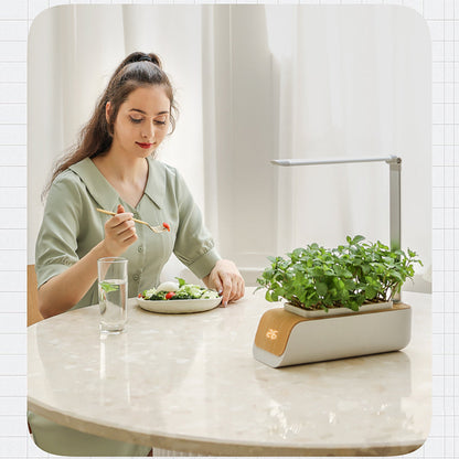 Hydroponic Container Flower Pot Garden Patio ABS It Is Not Easy To Deform Ventilation Storage Container Vegetable Spring