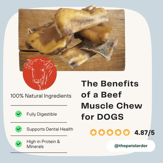 Beef Muscle Chew Natural Meat Chew For Dogs