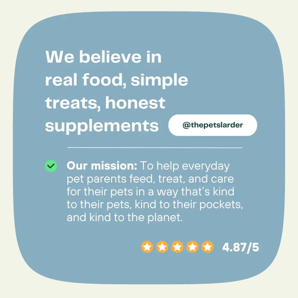 Beef Tripe Chew Natural Meat Chew For Dogs