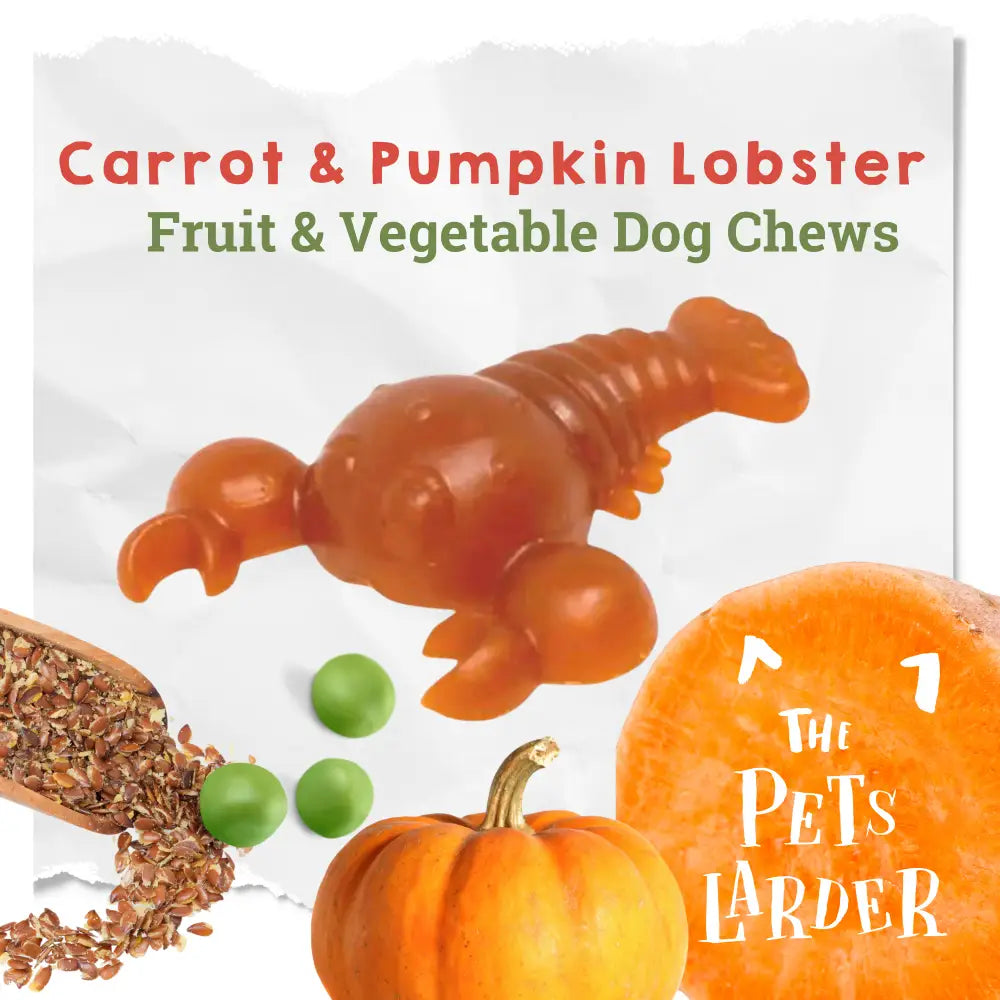 Carrot & Pumpkin Lobster Chew For Dogs