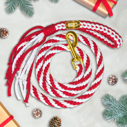 Make Your Own Dog Lead Craft Kit - Candy Cane Sparkle