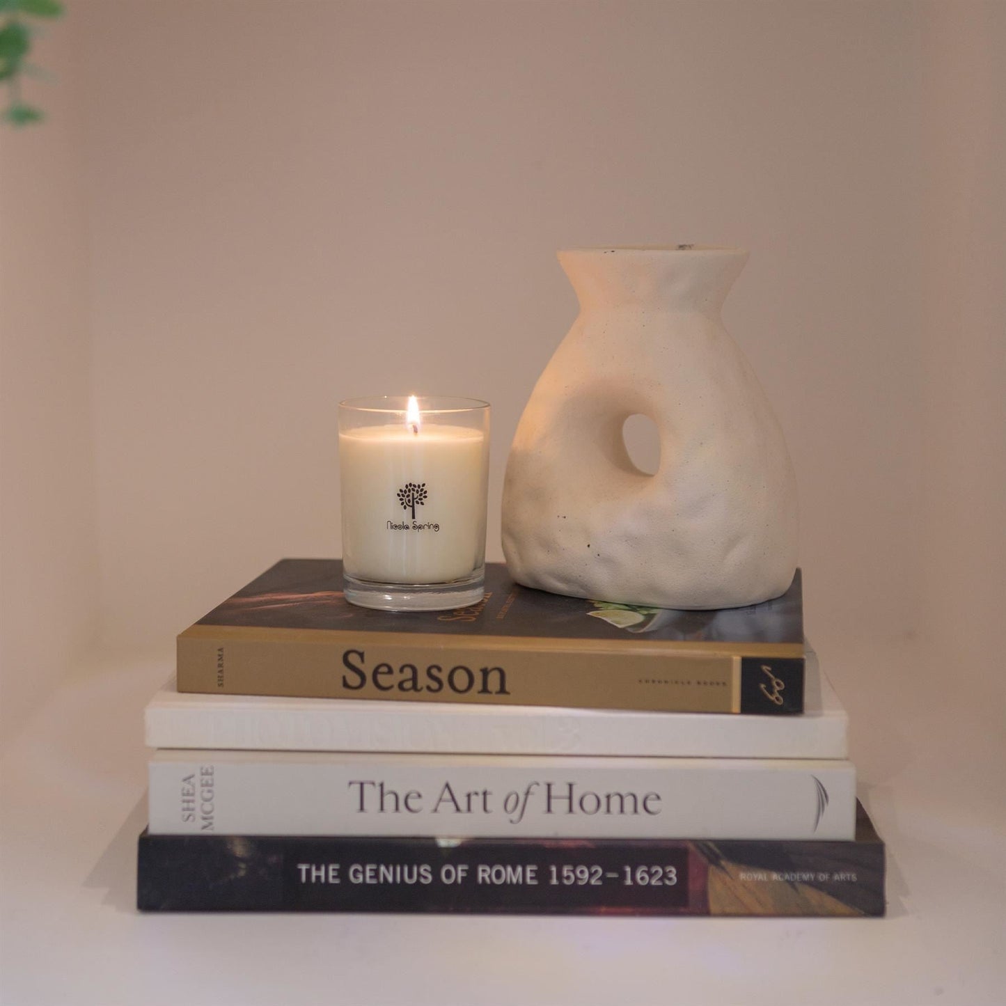 Soy Wax Scented Candle - 160g - Mulled Wine