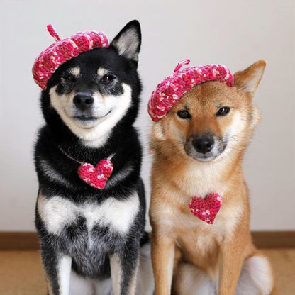 DIY Mini Mixed Color Hand-knitted Beret Cute Pet