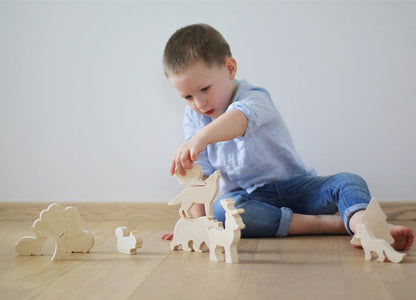 Wooden Scientific And Educational Toys For Children