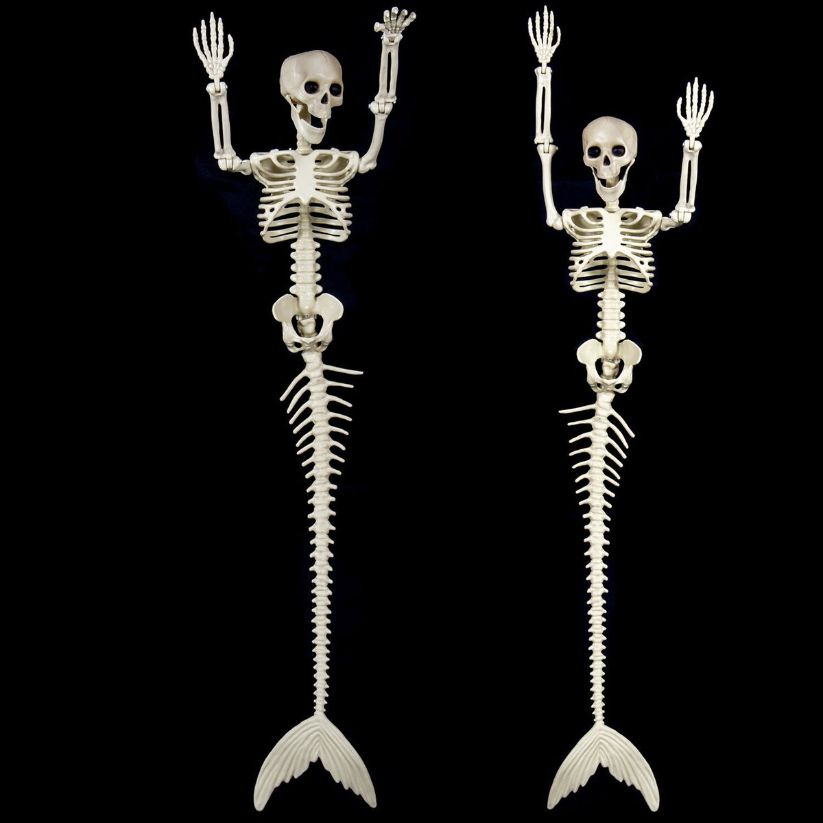 Halloween Skull Fish Skeleton Hanger 80cm - Realistic Spooky Decoration