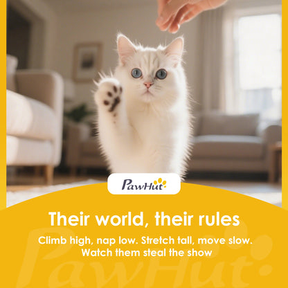 PawHut Self Cleaning Cat Litter Tray Top Opening Design, Automatic Litter Box More Space with Integrated Security Protection