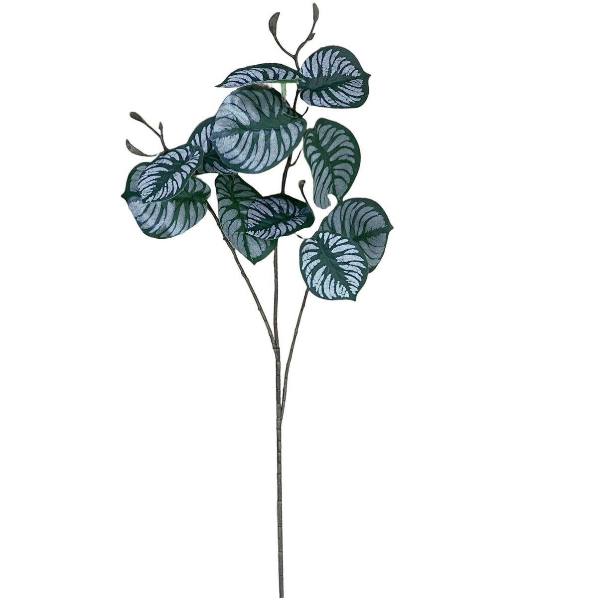70cm Artificial Zebra Foliage