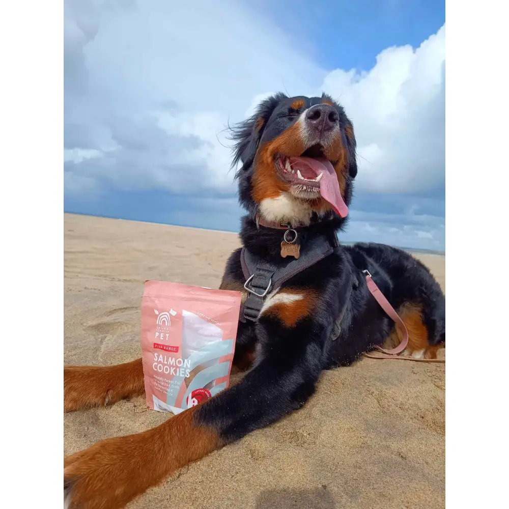 Natural Cornish Salmon & Potato Cookies