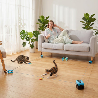 PawHut Interactive Cat Toy for Indoor Kittens & Adult with Adjustable Speed, DIY Track & Mouse Sound