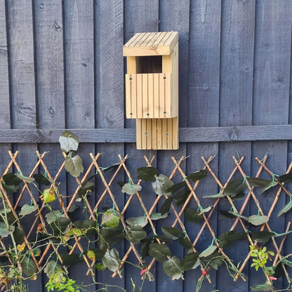 open faced nesting box for birds