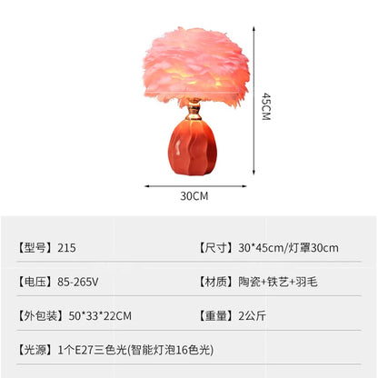 Nordic Feather Table Lamp  Girl Warm Romantic Bedside Lamp Internet Celebrity Homestay Live Room Atmosphere Decorative Table Lamp