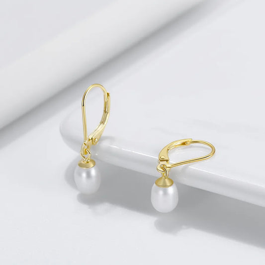 1 Pair Baroque Style French Style Geometric Color Block Irregular Polishing Plating Freshwater Pearl Drop Earrings