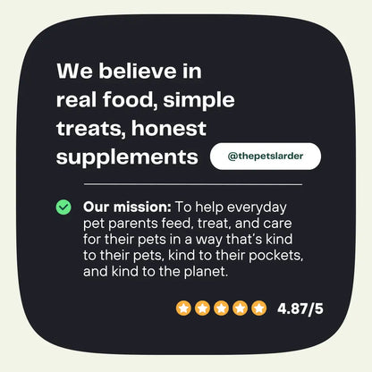 Pumpkin Powder for Dogs: Digestion Aid