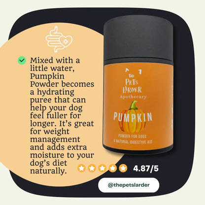 Pumpkin Powder for Dogs: Digestion Aid
