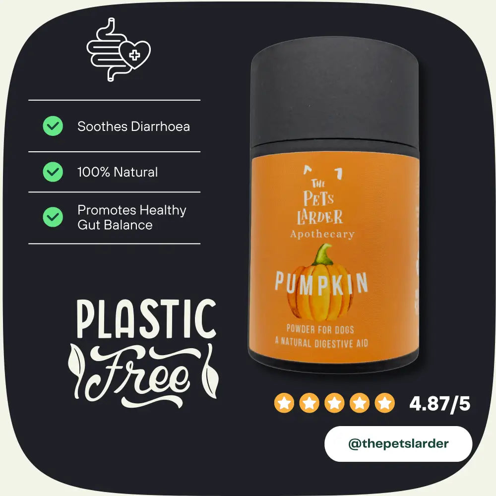 Pumpkin Powder for Dogs: Digestion Aid