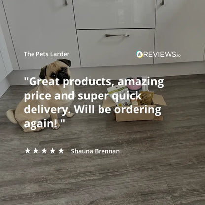 Rabbit Ear without Fur Natural Meat Chew For Dogs