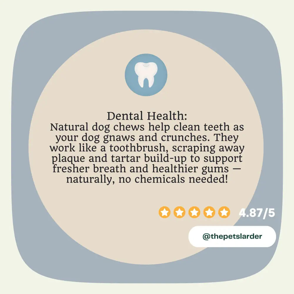 Rabbit Ear without Fur Natural Meat Chew For Dogs