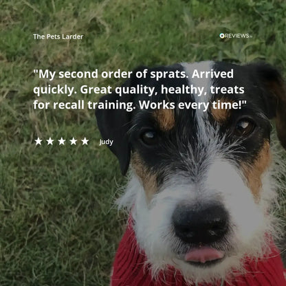 Rabbit Ear without Fur Natural Meat Chew For Dogs