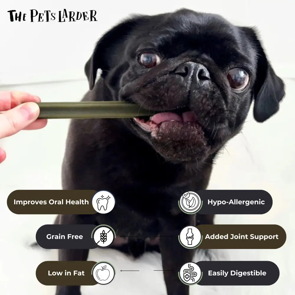 Spinach & Cranberry Chew Stick Vegetable Chew For Dogs