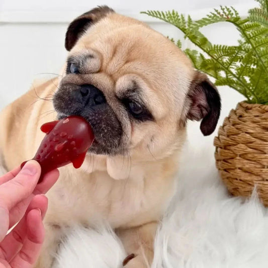 Strawberry & Banana Dolphin Vegetable Chew For Dogs