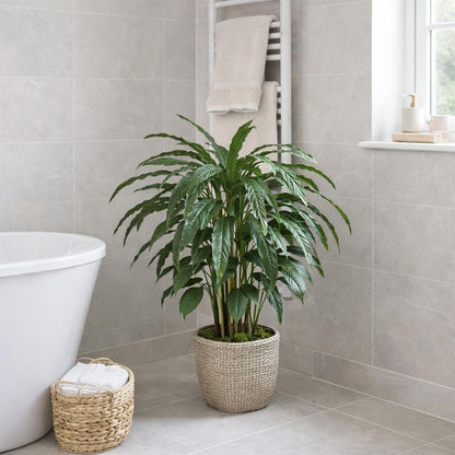 90cm Artificial Calathea Plant Dark Green