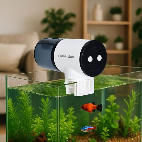Splashy (Automatic Fish Feeder)