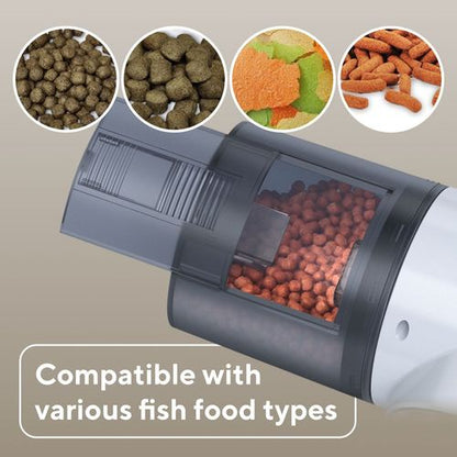 Splashy (Automatic Fish Feeder)