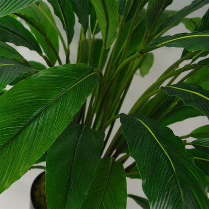 90cm Artificial Calathea Plant Dark Green
