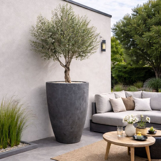 Vessara | Onyx Dusk – 100cm XXL Concrete Tall Vase Planter – 172L Round Plant Pot