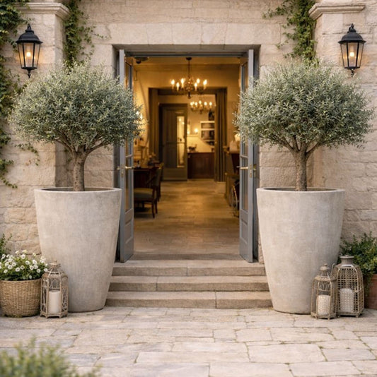 Vessara | Truffle – 100cm XXL Tall Concrete Planter – 172L Round Plant Pot