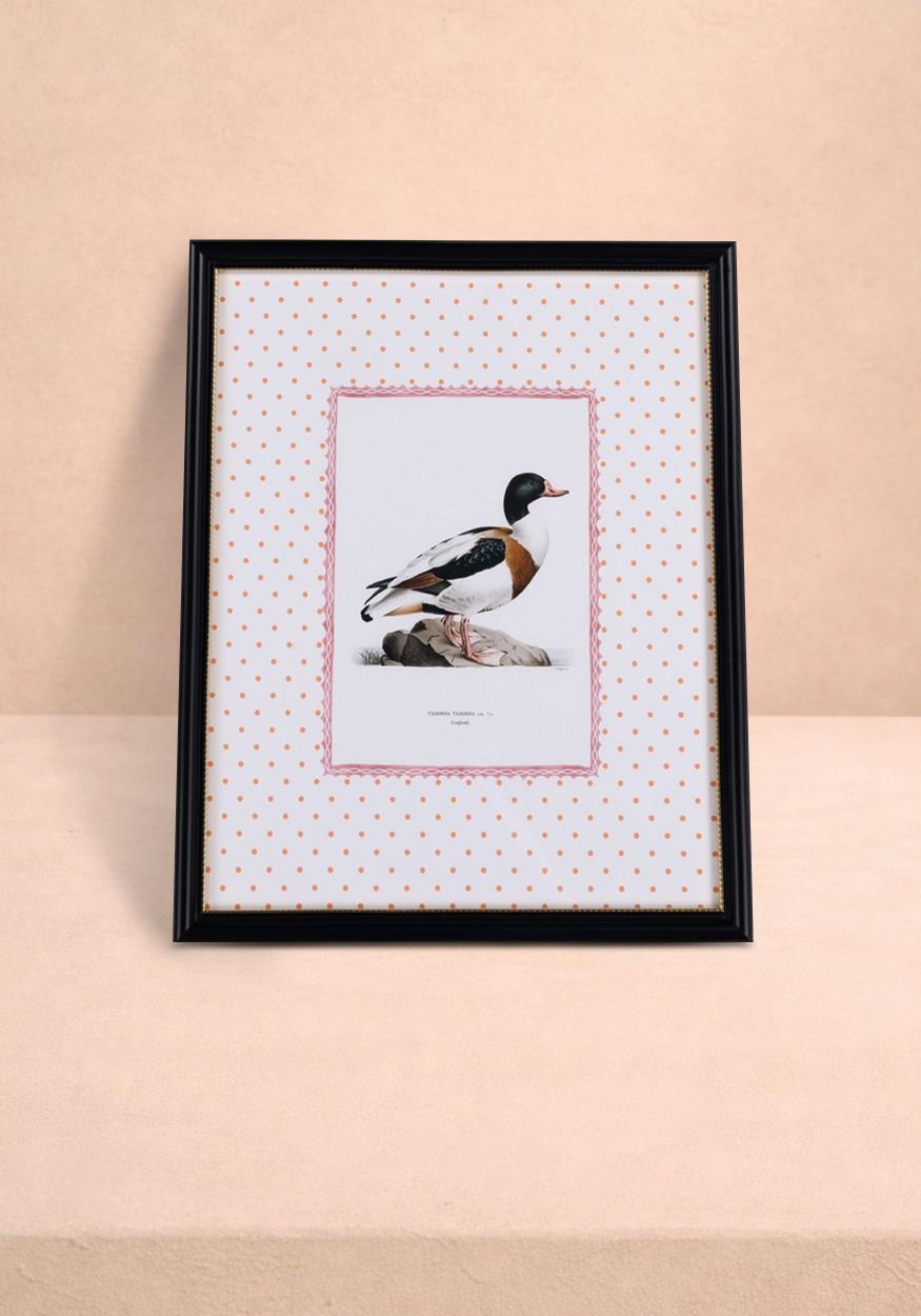Duck IV Framed Print- The Prettiest By Far