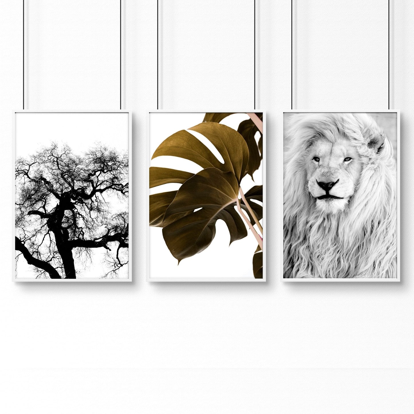 Wall Hanging Art | Set of 3 African Wildlife Wall art Prints