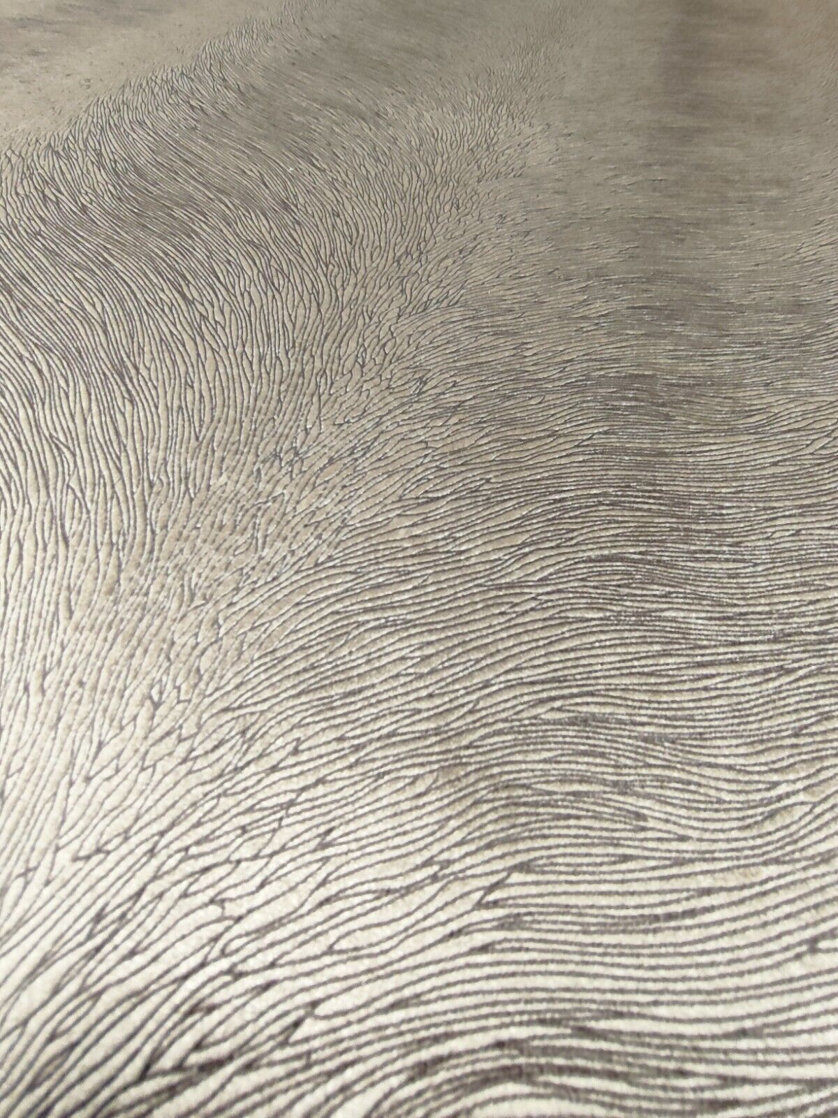 Carlucci Di Chivasso Pistoia Velvet CA1292-072 Upholstery Fabric 5 Metres