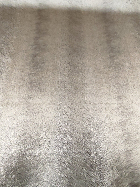 Carlucci Di Chivasso Pistoia Velvet CA1292-072 Upholstery Fabric 5 Metres
